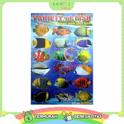 Poster Edukasi Anak Belajar Ikan Water World