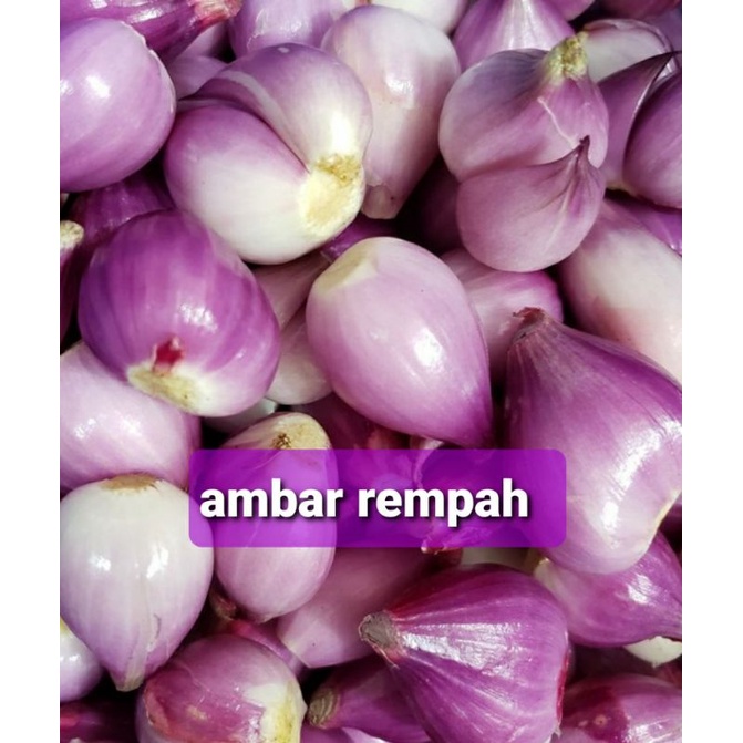 

Bawang merah kupas segar 250gram.