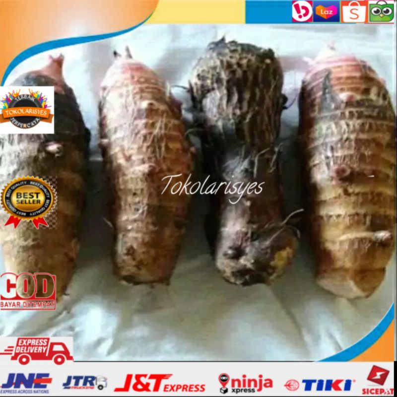 

Ubi talas 1 kg