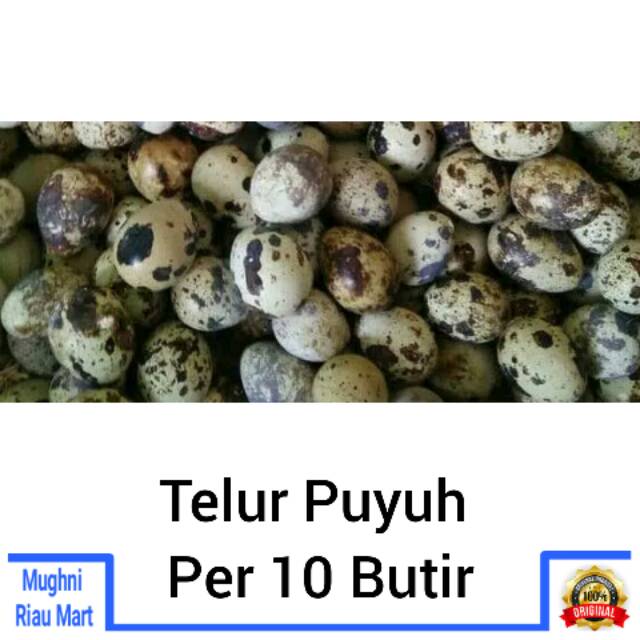 

Telur Puyuh Per 10 Butir