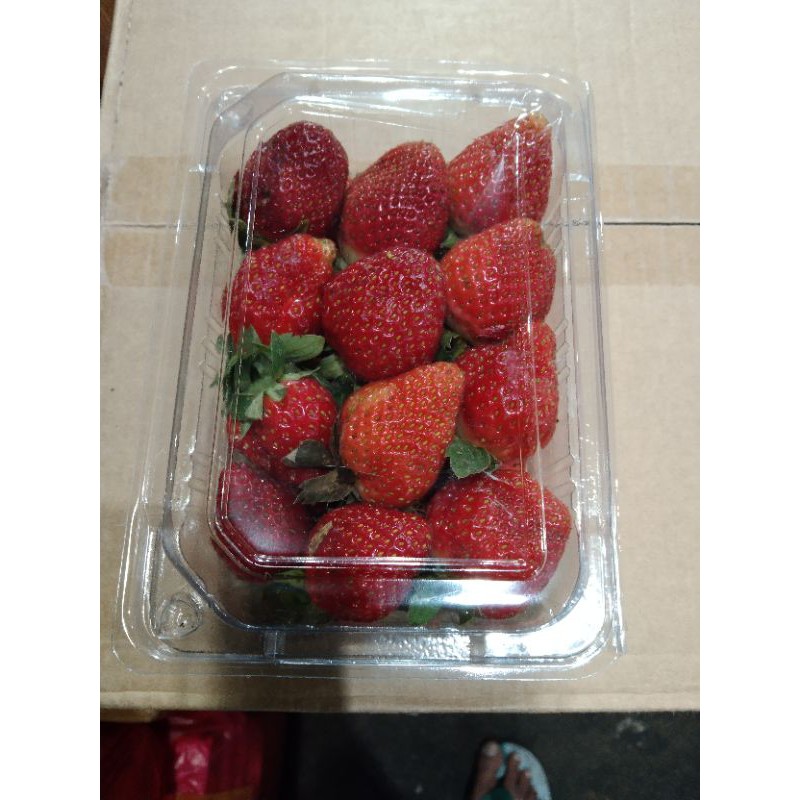 

Strawberry fresh berat 250gr