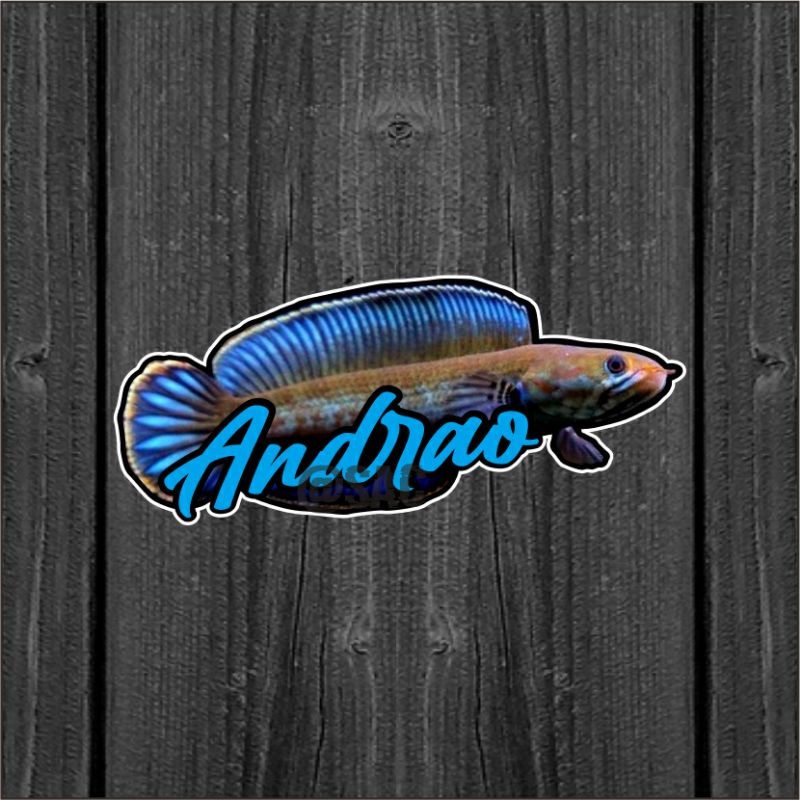 

Stiker ikan | Channa Andrao