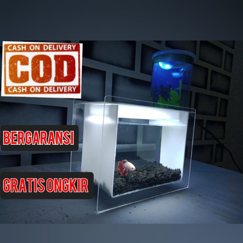Aquarium Akrilik Cupang