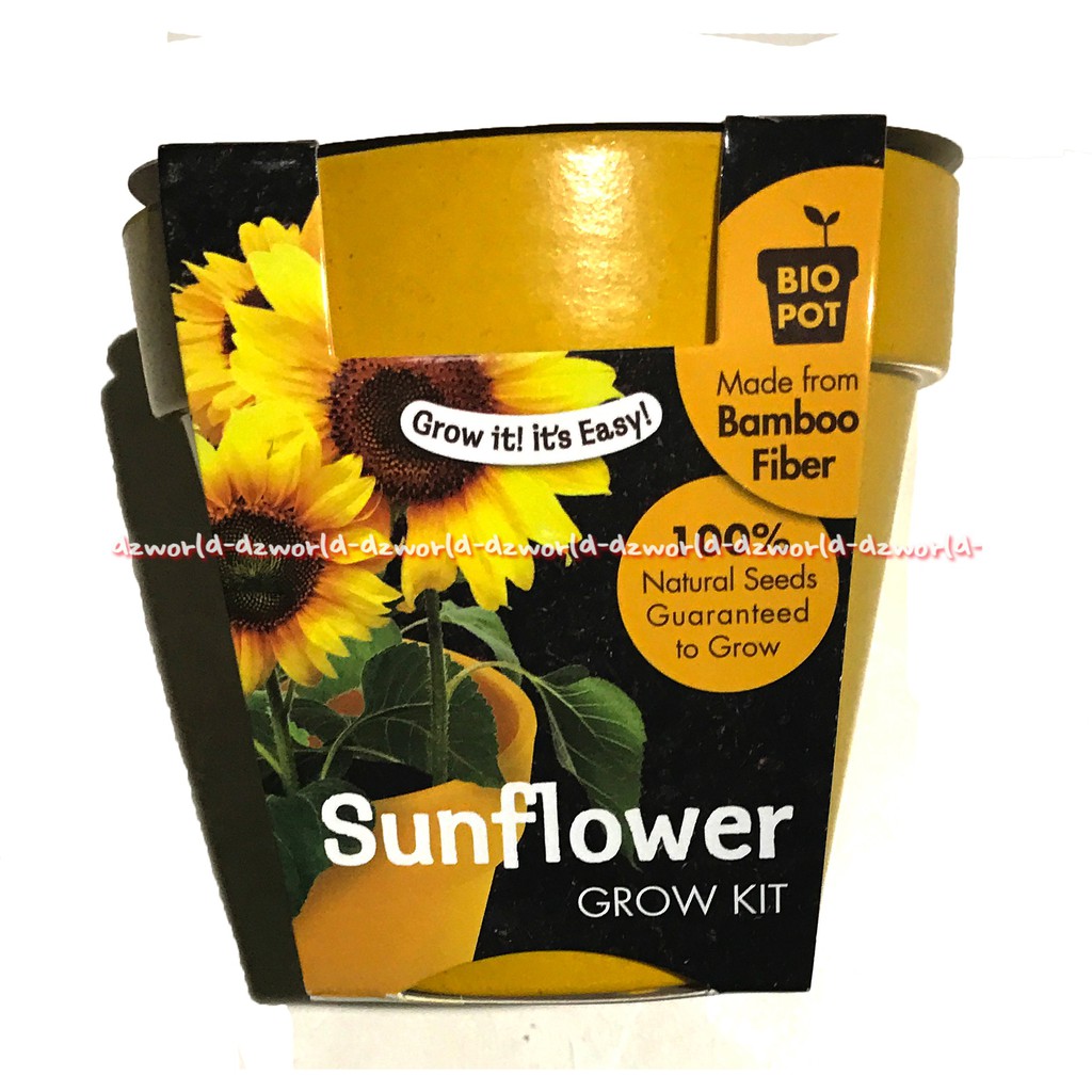 Paris Garden Sunflower Pot Kids Bibit Tanaman Bunga Matahari Set Bercocok Tanam