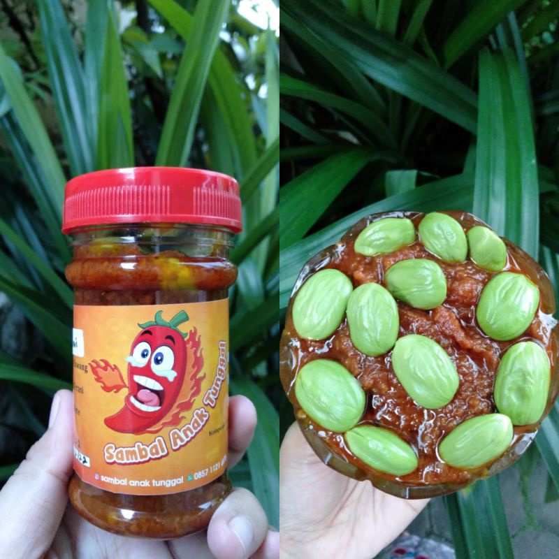 

SAMBEL PETE ANAK TUNGGAL