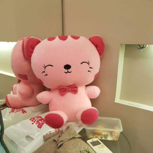Boneka kucing cantik size:xl