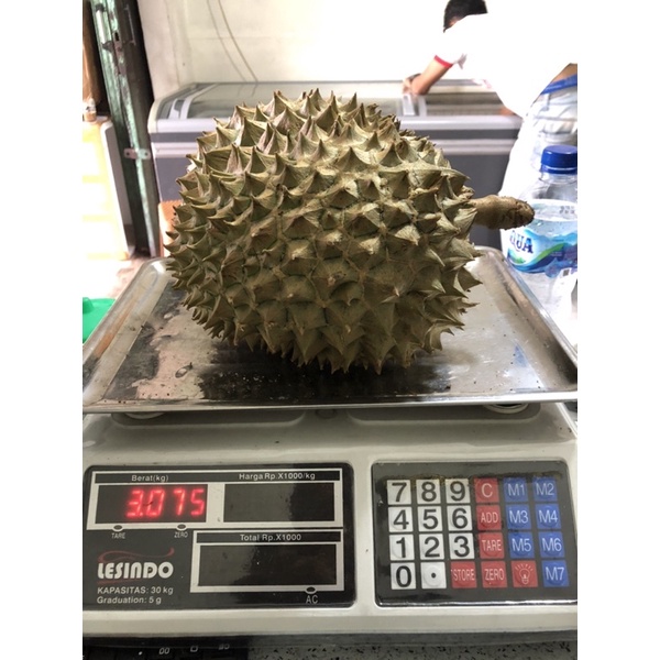 

Durian Monthong Bali Super Fresh ukuran +-3kg