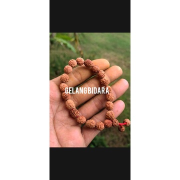 gelang biji bidara original