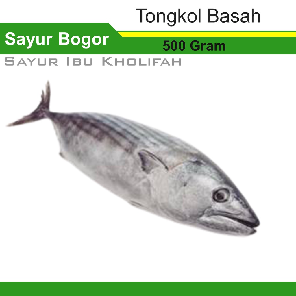 Ikan Tongkol Basah Segar 500 Gram Ikan Segar Bogor