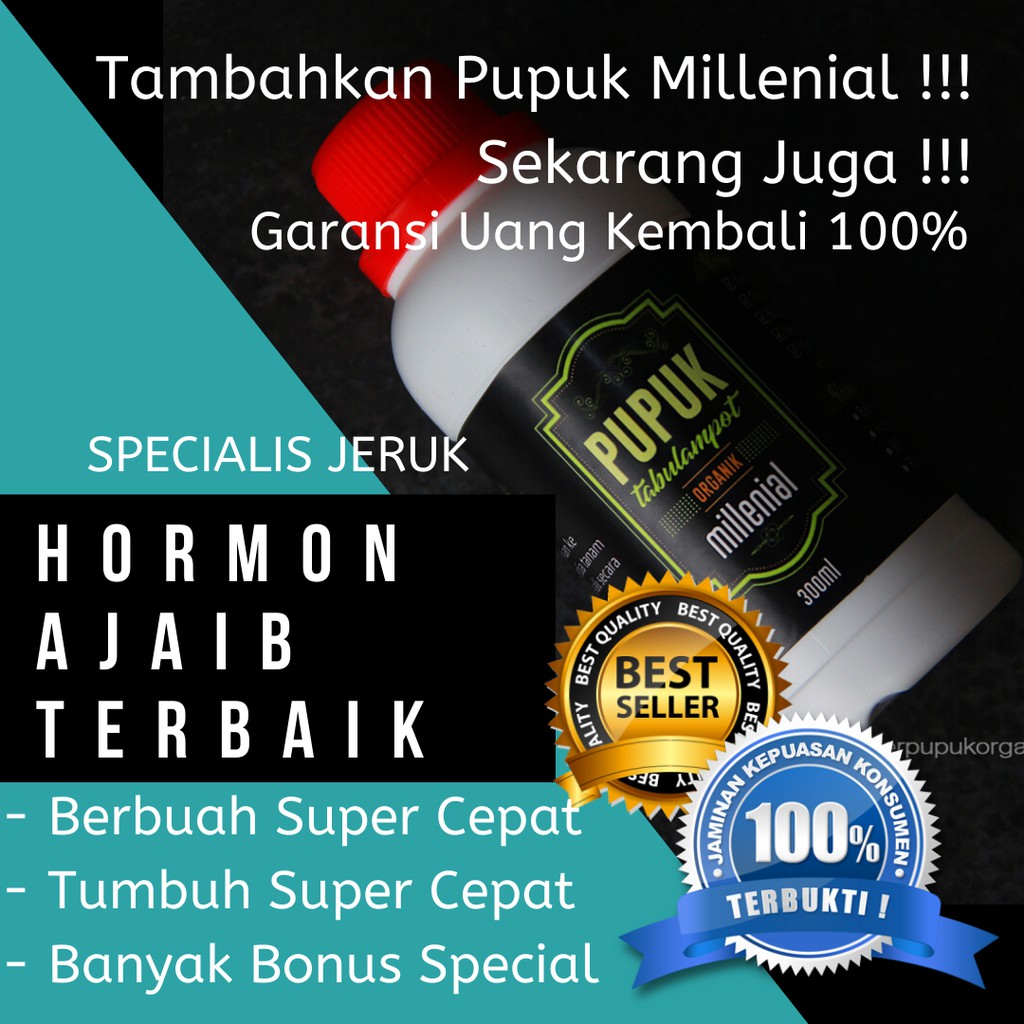 Pupuk Jeruk Limau Pupuk Jeruk Santang Pupuk Jerum Nagami Pupuk Jeruk Manis Pupuk Jeruk Lemon