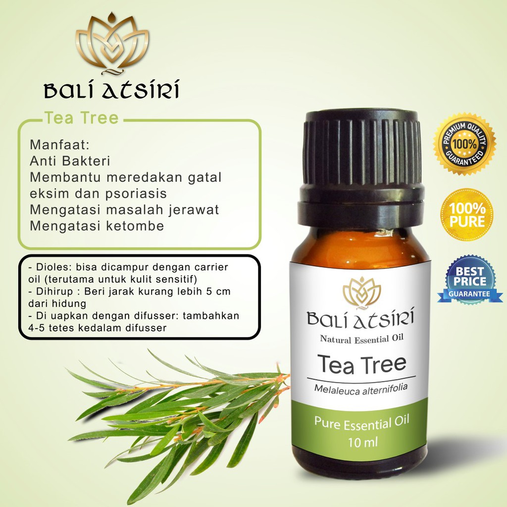 Jual Bali Atsiri Tea Tree Oil 10 Ml | Pure Essential Oil Tea Tree 10 Ml ...