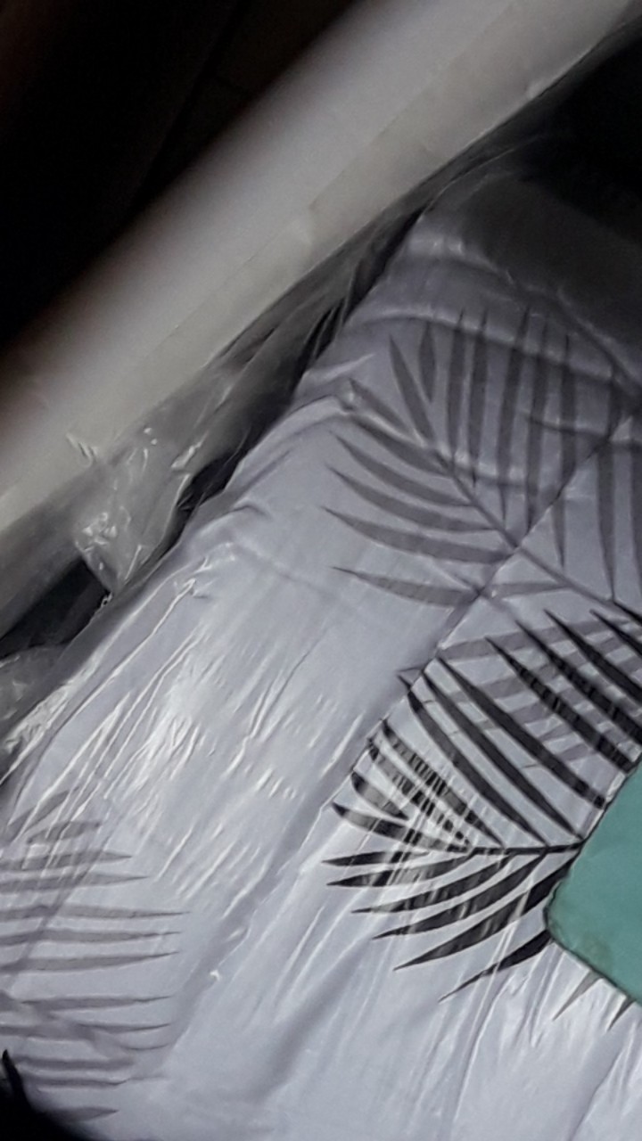 Bed Cover Set Motif Monstera Katun Lokal Star Ukuran King Size Queen Dan Single