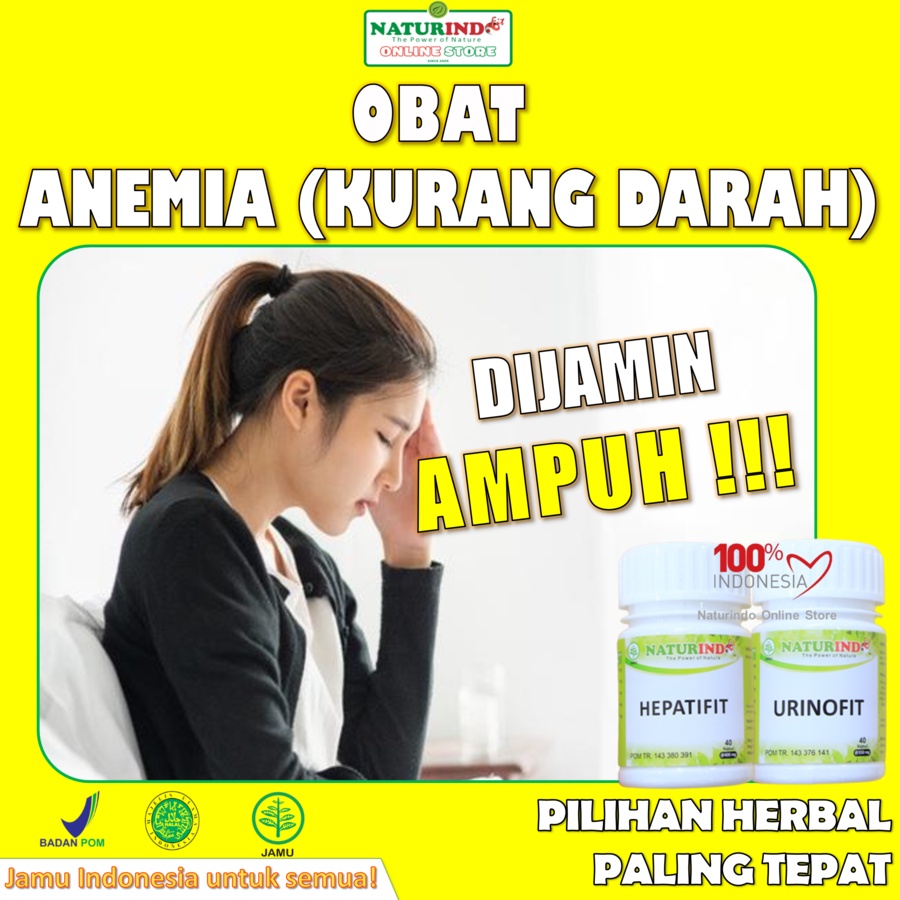 Jual Obat Anemia Hemoglobin Sel Darah Merah Paling Ampuh Herbal