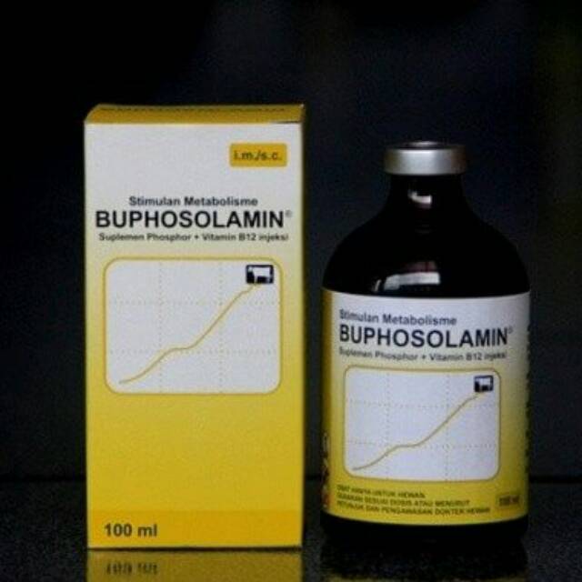 Vitamin B12 Injection suntik Buphosolamin penambah tenaga setelah melahirkan kucing anjing kuda sapi