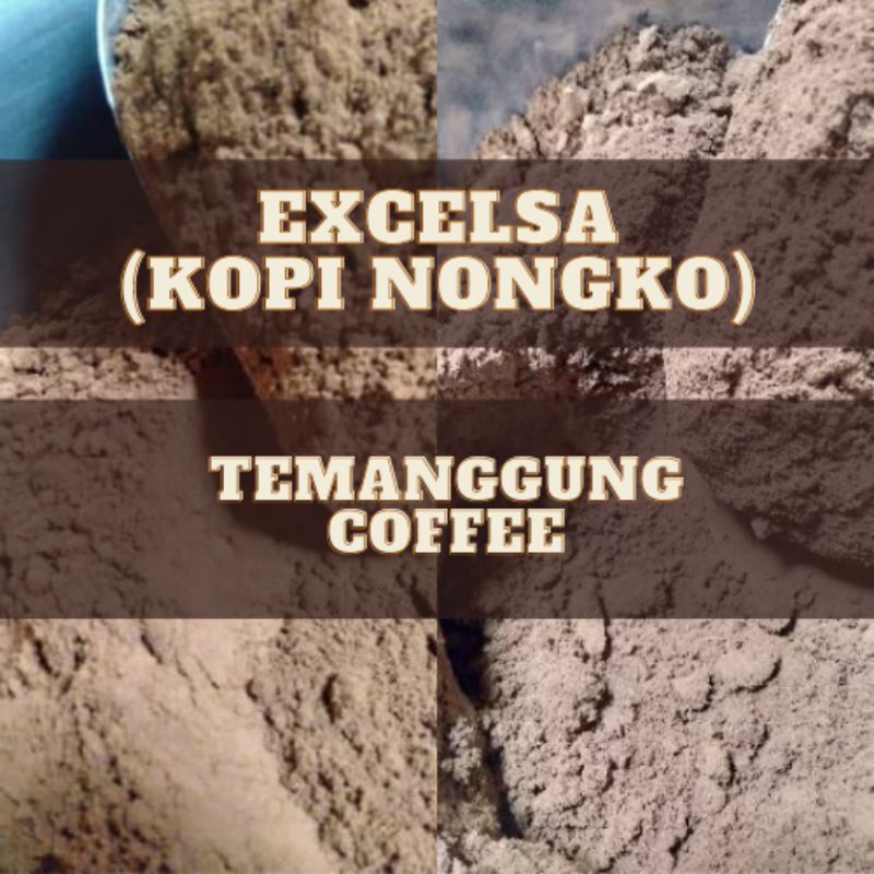 

[1kg] Excelsa Kopi Nongko Temanggung