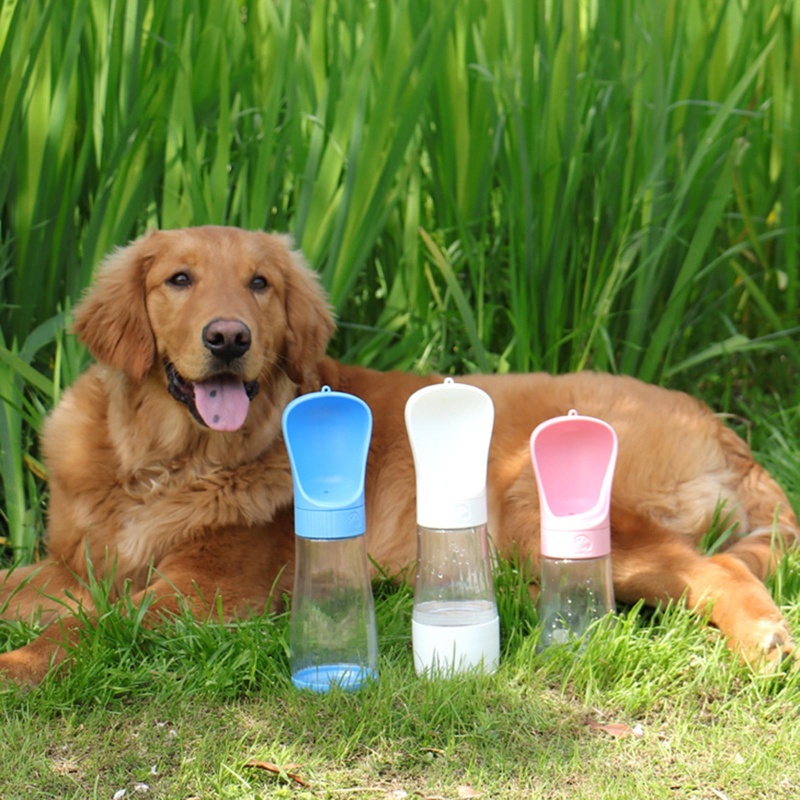 Botol Minum Dispenser Air Portabel Ukuran 5.7oz 11oz Untuk Anjing Peliharaan