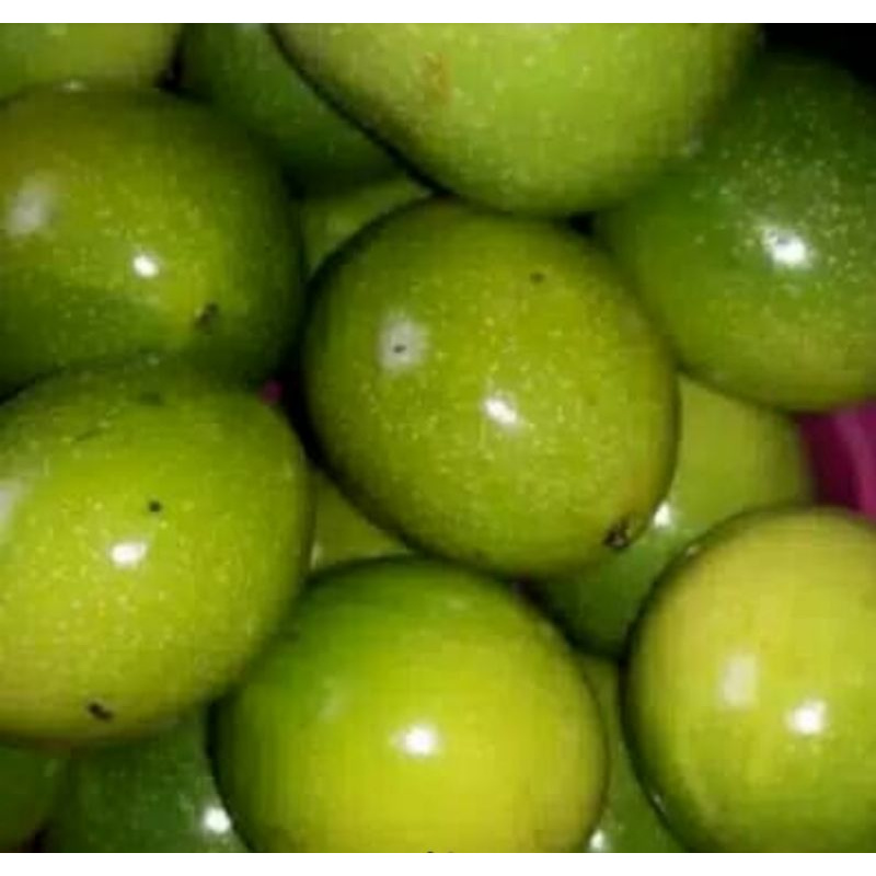 

buah konyal/saprola