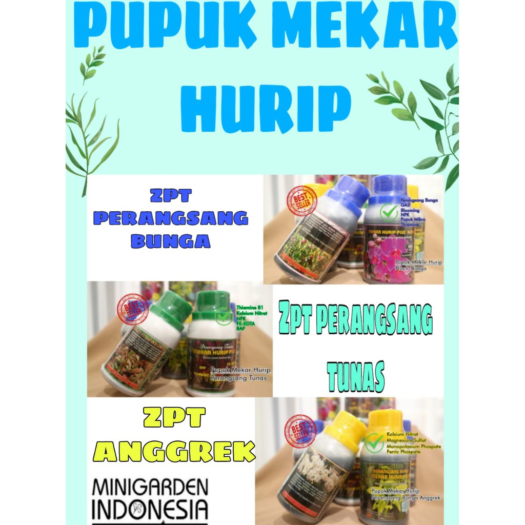 PUPUK MEKAR HURIP Plus Perangsang Tunas , Bunga Anggrek dan Tanaman Hias 100ML vitamin tumbuh tunas