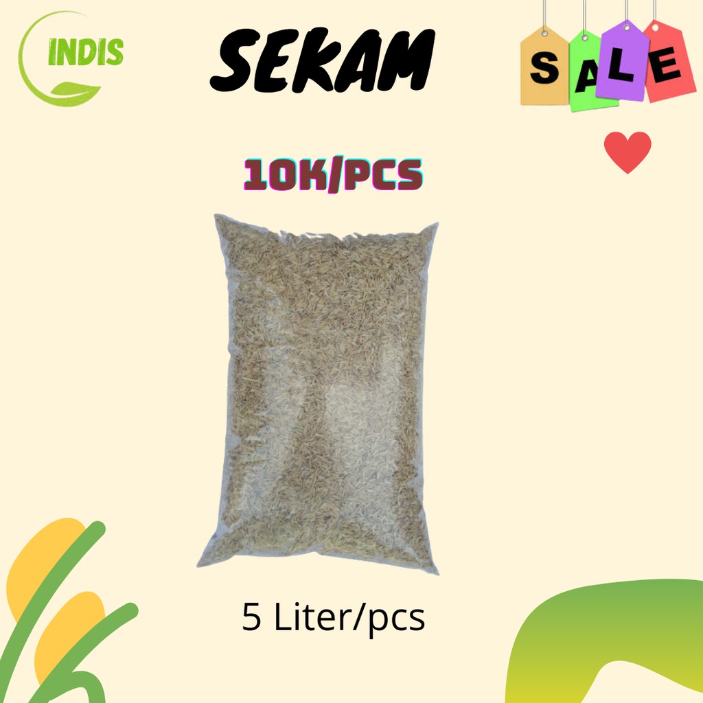 SEKAM / SEKAM MENTAH / SEKAM PREMIUM