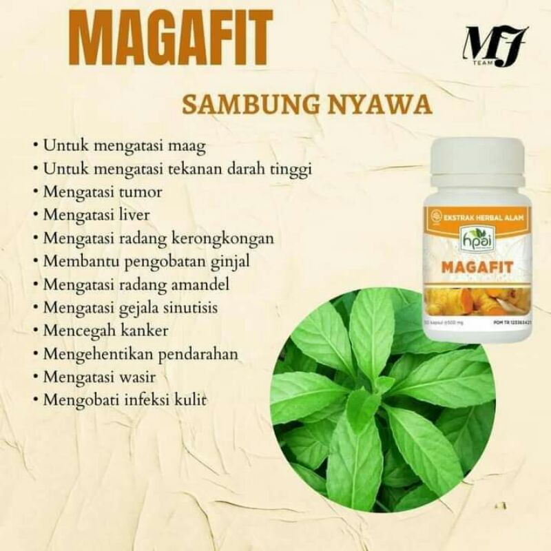 MAGAFIT HNI