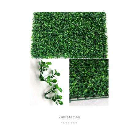 Daun Dolar Sintetis