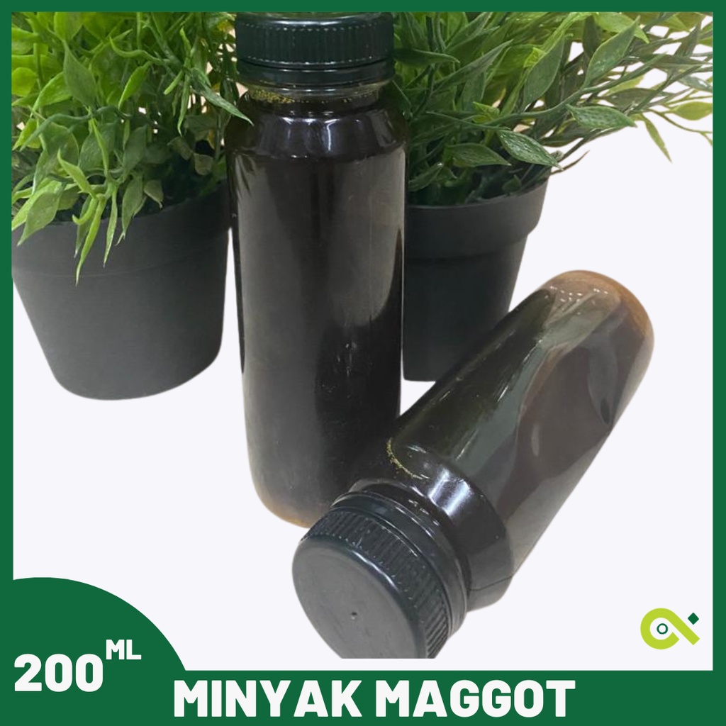 Grosir  Minyak Maggot Steril. Tinggi Asam Amino (BSF Crude Oil) - 200 ml