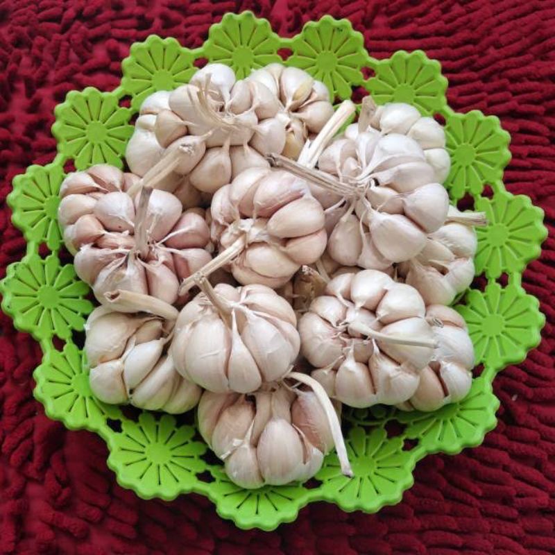 

Bawang Putih 1 kg |Bawang|Bumbu dapur|Grosir bawang putih