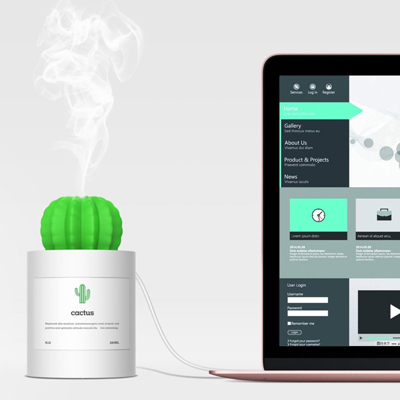 Flashmart - Humidifier Diffuser Kaktus 3Life Air Pelembab Udara Aromatherapy 280ml