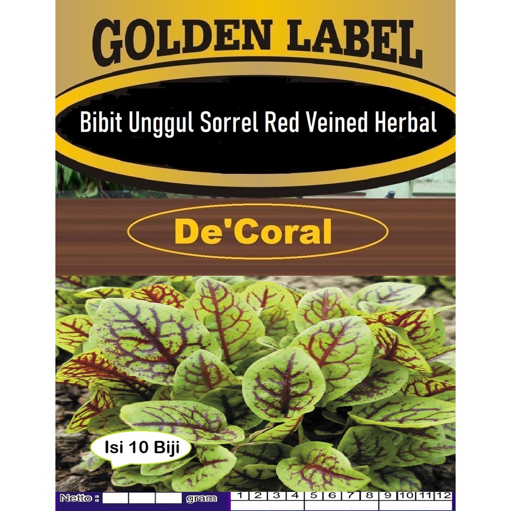 Bibit Sorrel Red Veined Herbal|Benih Tanaman Sorrel Herbal|Biji Sorel|Daun Herbal Sorrel