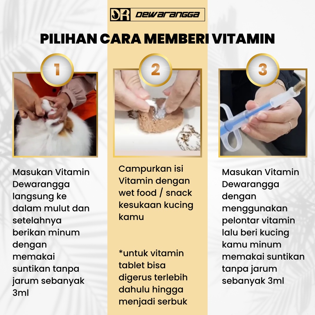 Dewarangga Paket Vitamin Kucing HAMIL &amp; MENYUSUI untuk Meningkatkan Produksi ASI, Mencegah Kelainan Anatomi Kitten, Memaksimalkan Penyerapan Nutrisi Kitten &amp; Induk