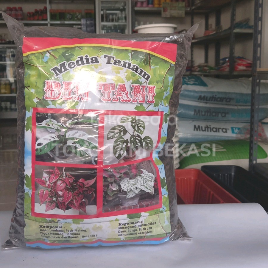 Media tanam tanah aglo aglonema siap pakai