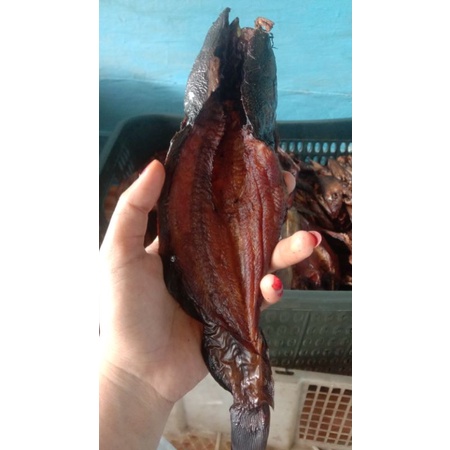 

salai lele