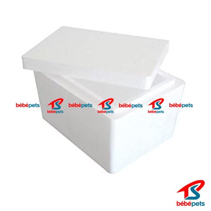 

Terbaru STYROFOAM STEROFOAM - TAMBAHAN PACKING Berkualitas