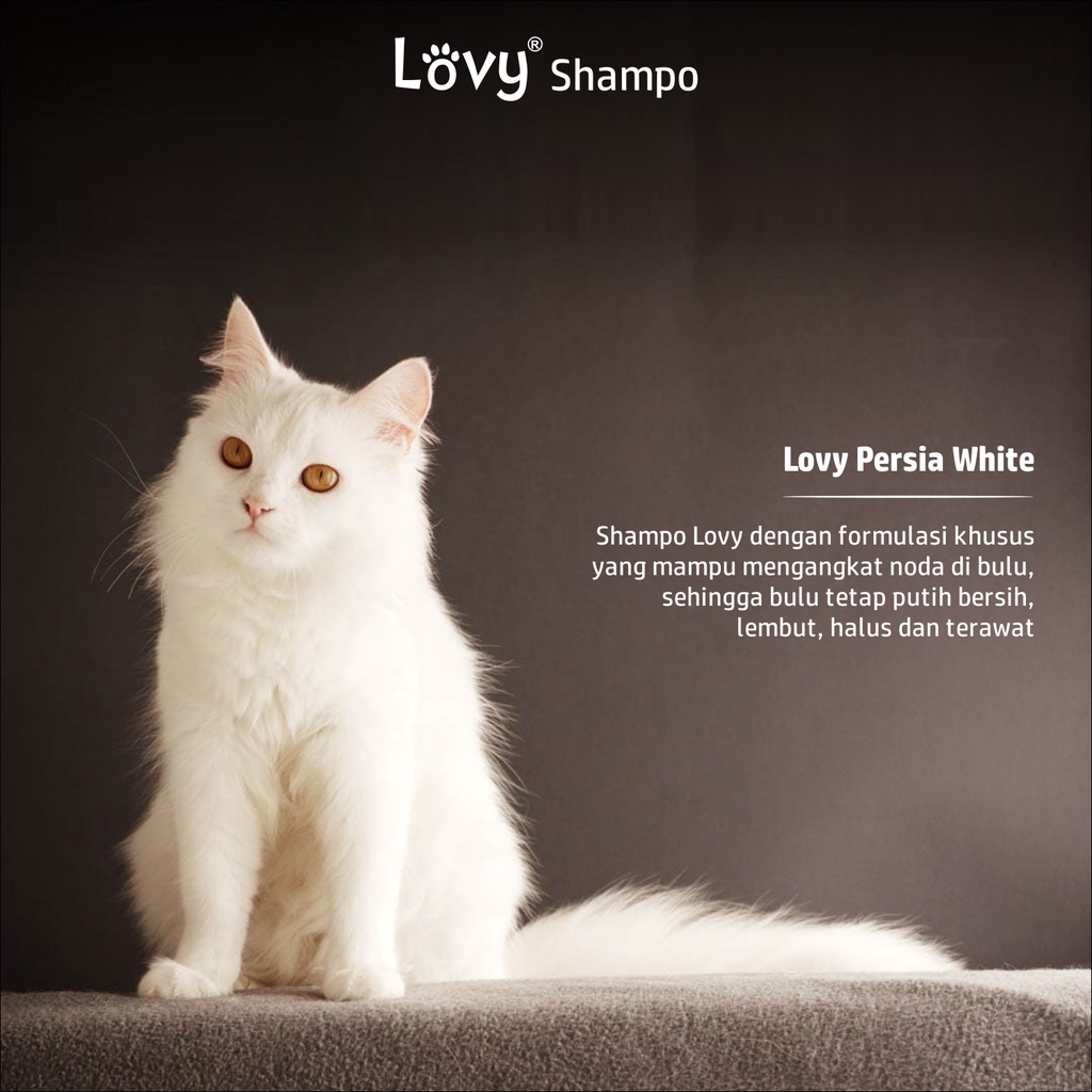 Shampo Kucing Bulu Putih Persia Shampoo Pemutih Bulu Lovy WHITE 100 ml