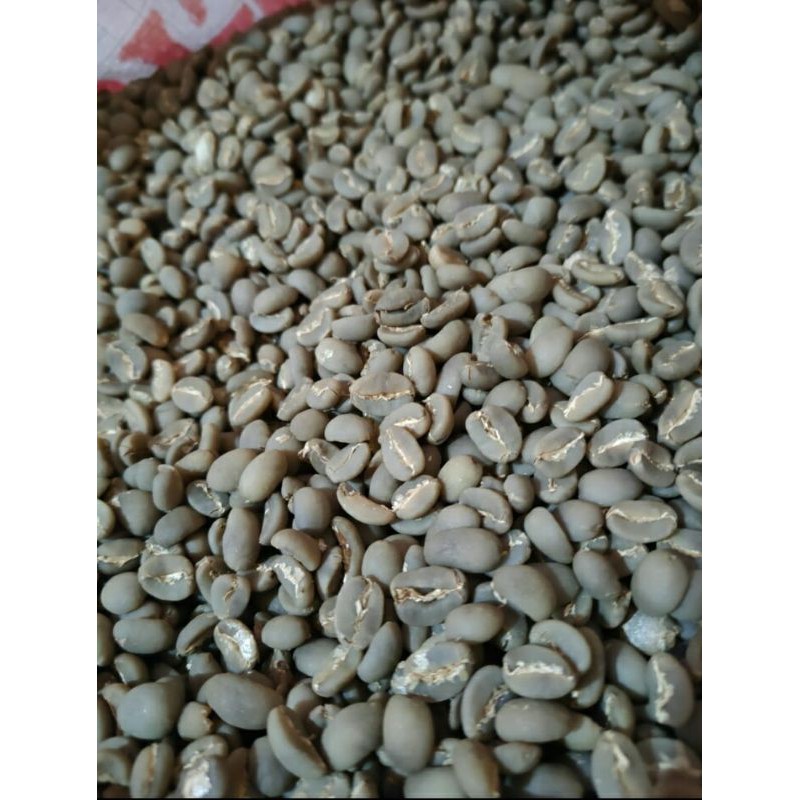 

Green Bean Arabika Argopuro | Arabika Fullwash