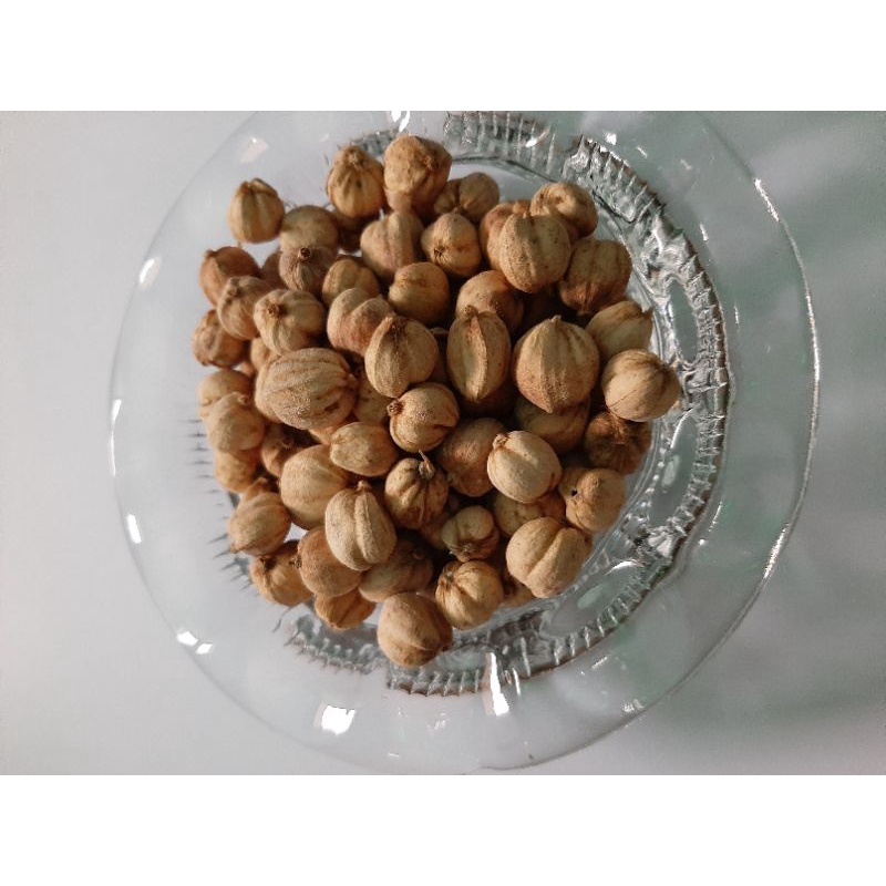 

50gr 100gr Kapulaga Jawa Tanpa Pemutih/ True Cardamom / Rempah / JSR 100% Premium Quality