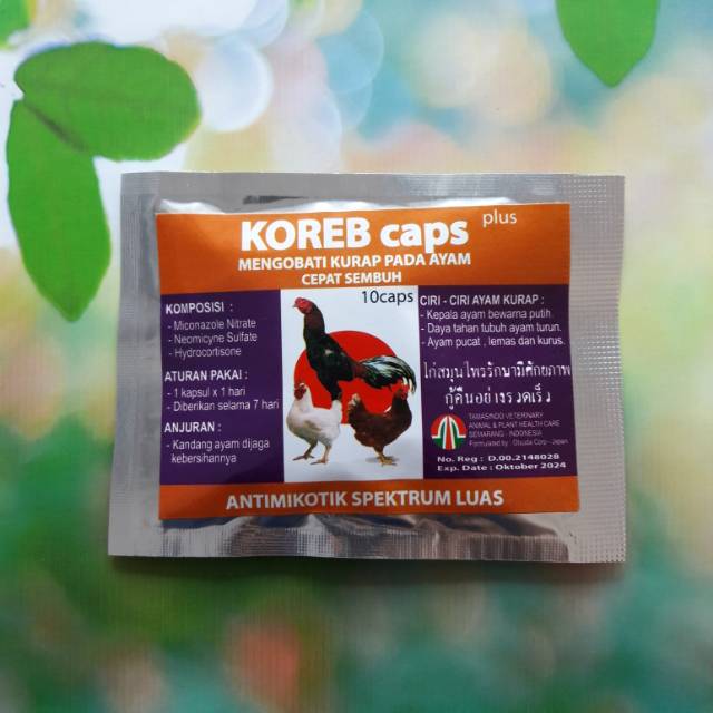 

KOREB Caps plus 10 kapsul Obat Mengobati Kurap pada Ayam Cepat sembuh