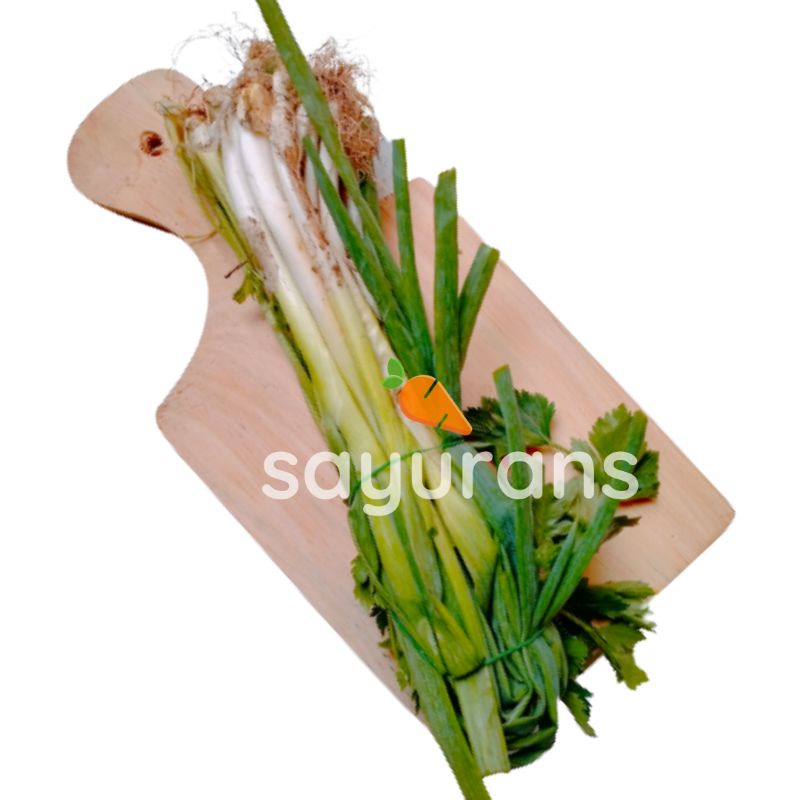 

SAYURANS Daun Bawang Seledri