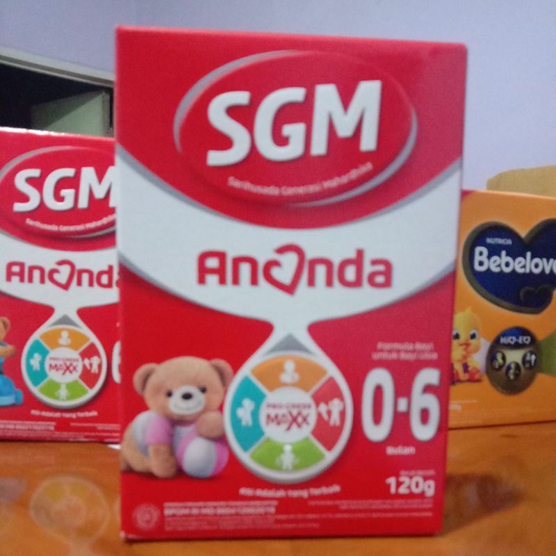 Susu SGM 0-6 bulan 120g