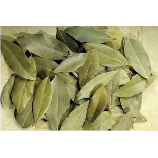 

Daun Salam Kering New Promo