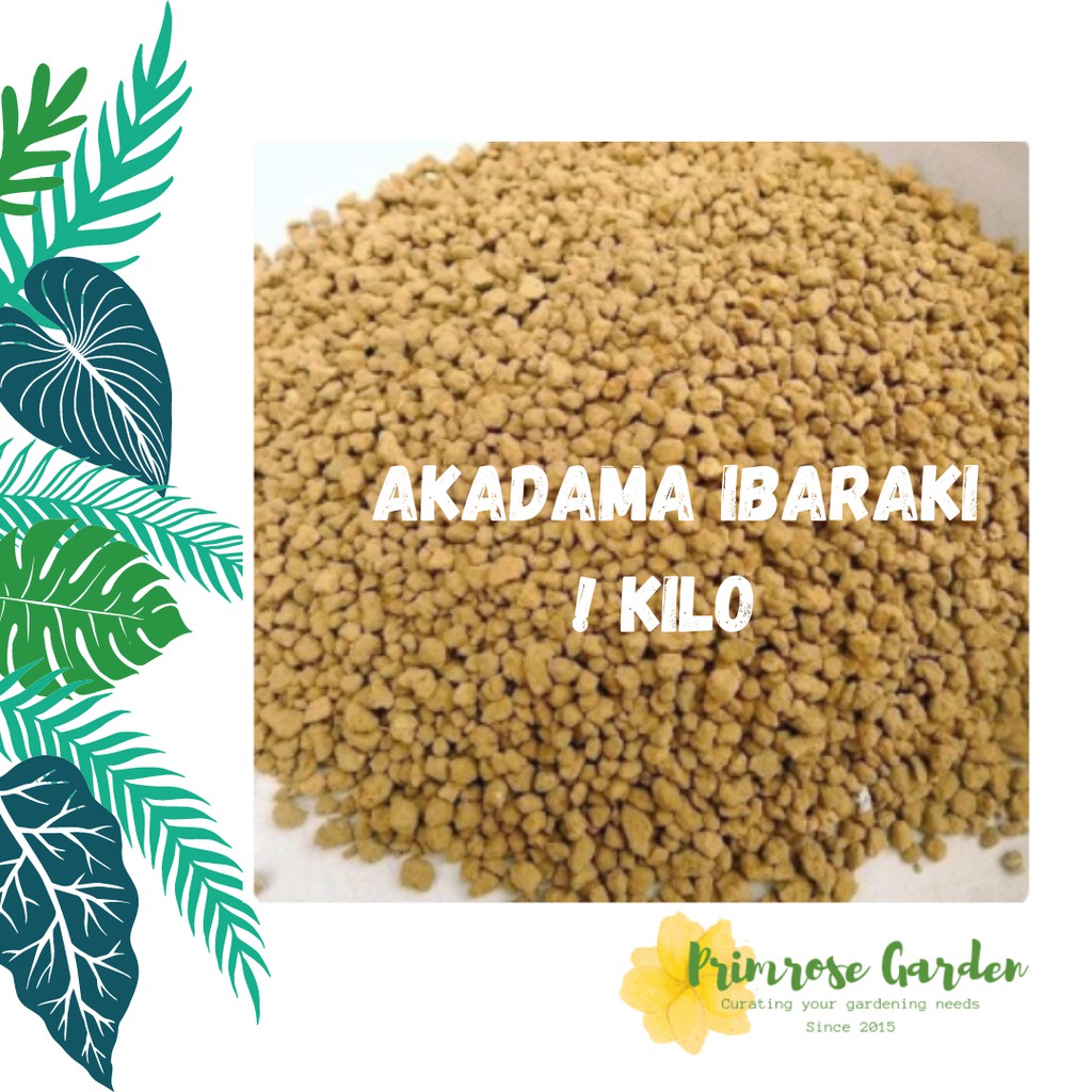 Akadama ibaraki 1 kilo