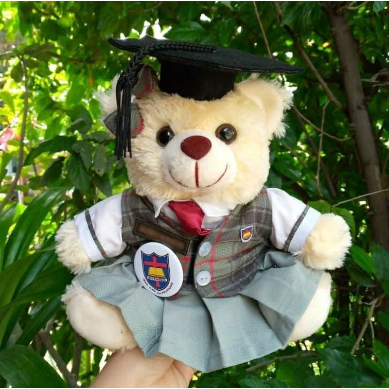 Small Bear 22cm Seragam SMAK Penabur