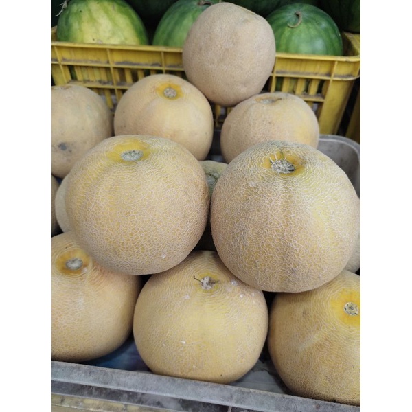 

Melon Madu Bnayu Wangi ( 1,4kg)