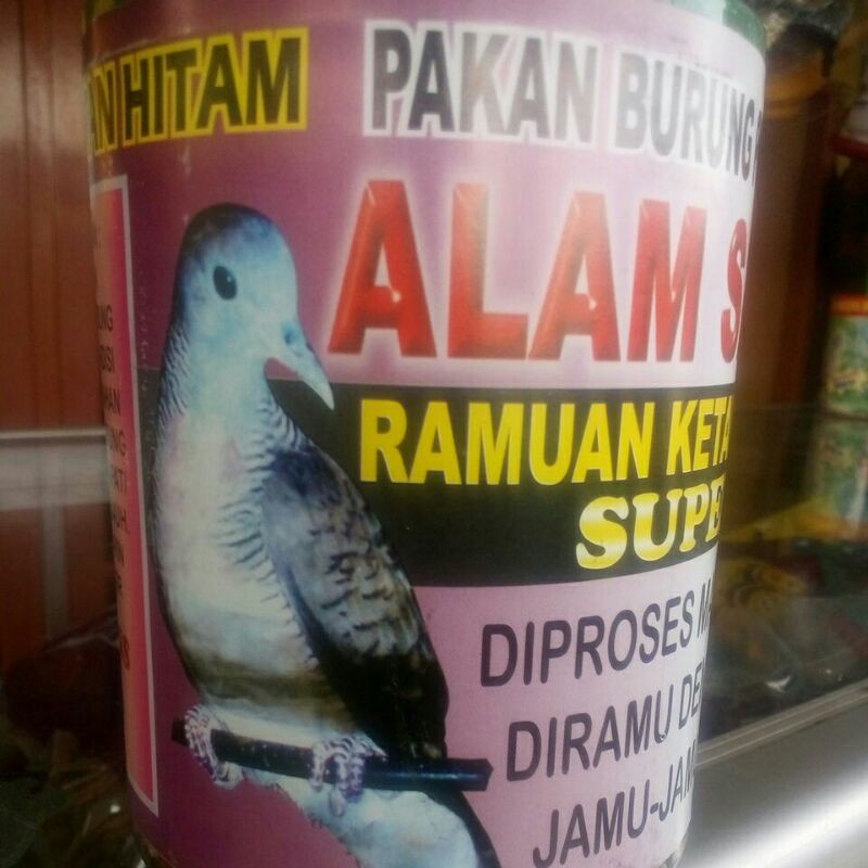 

Alam sakti perkutut/Extra ketan hitam
