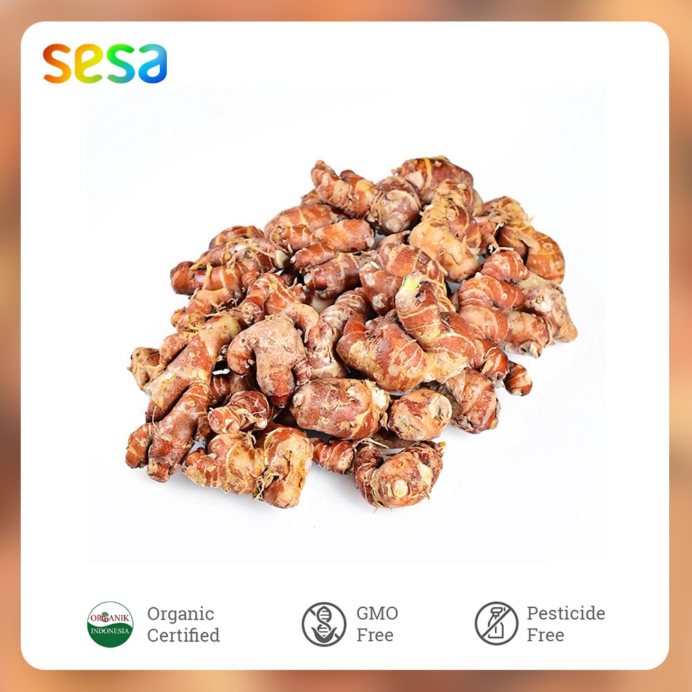 

Kencur Organik 250 g