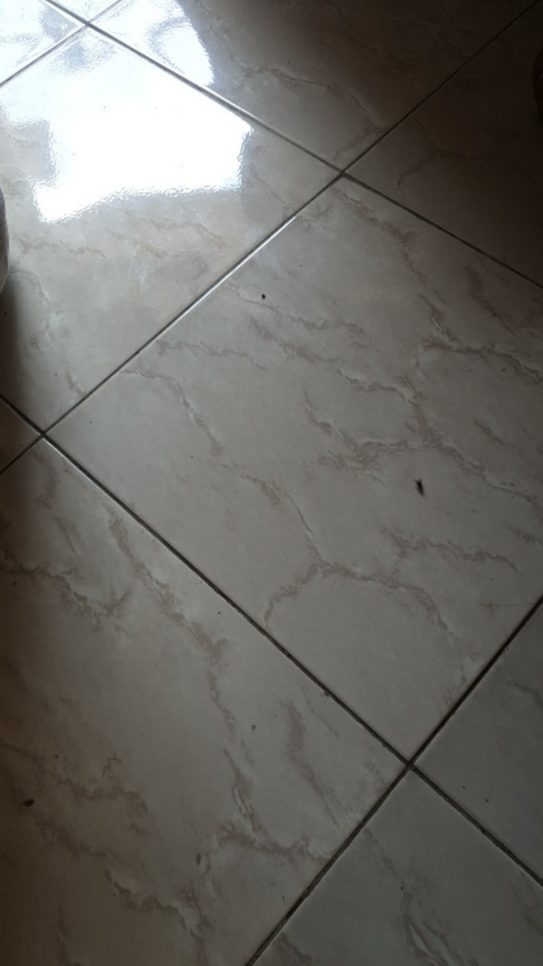 Gas Kaleng Tabung Hicook Portable