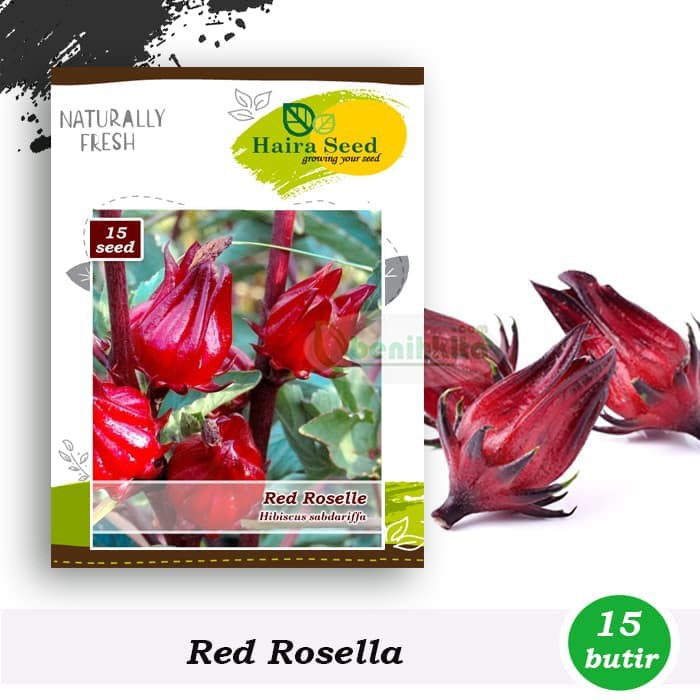 

Benih Bibit Herba Rosella Merah Haira Seed Berkualitas