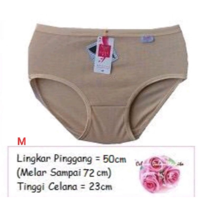 6PCS CELANA DALAM WANITA IMPORT MURAH BERKUALITAS/CD ESSE LYCRA