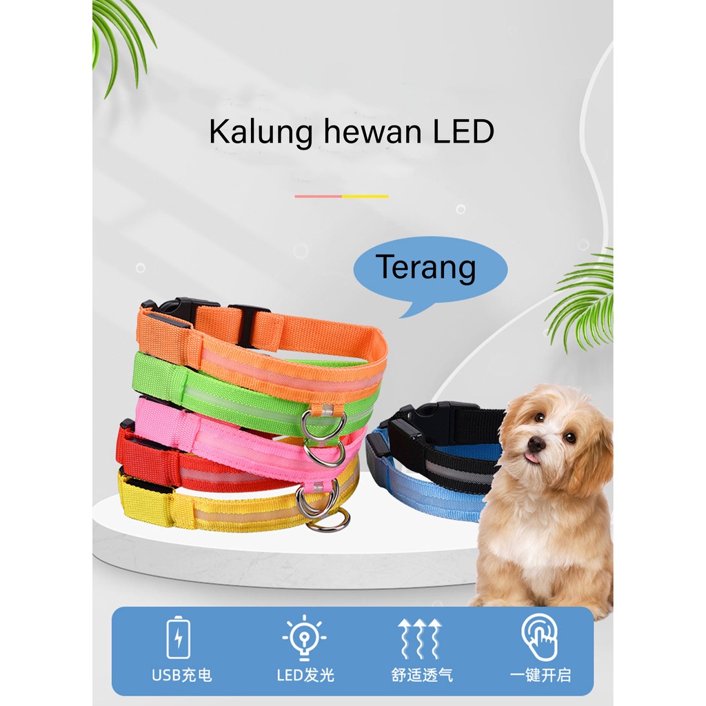 Kalung Anjing &amp; Kucing dengan Lampu LED Pet Collar 101