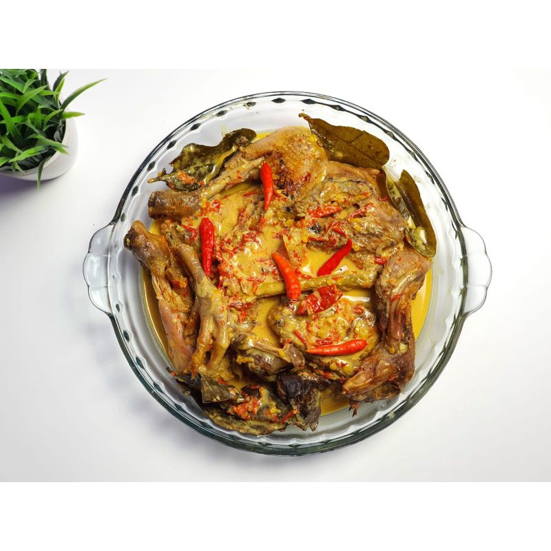 

Ayam Lodho khas tulung agung